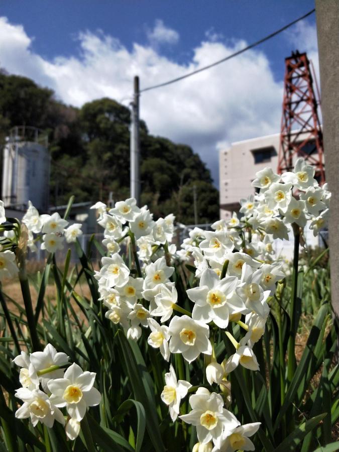 Izu Shirada Villa 伊豆白田家 Higashiizu Exteriér fotografie