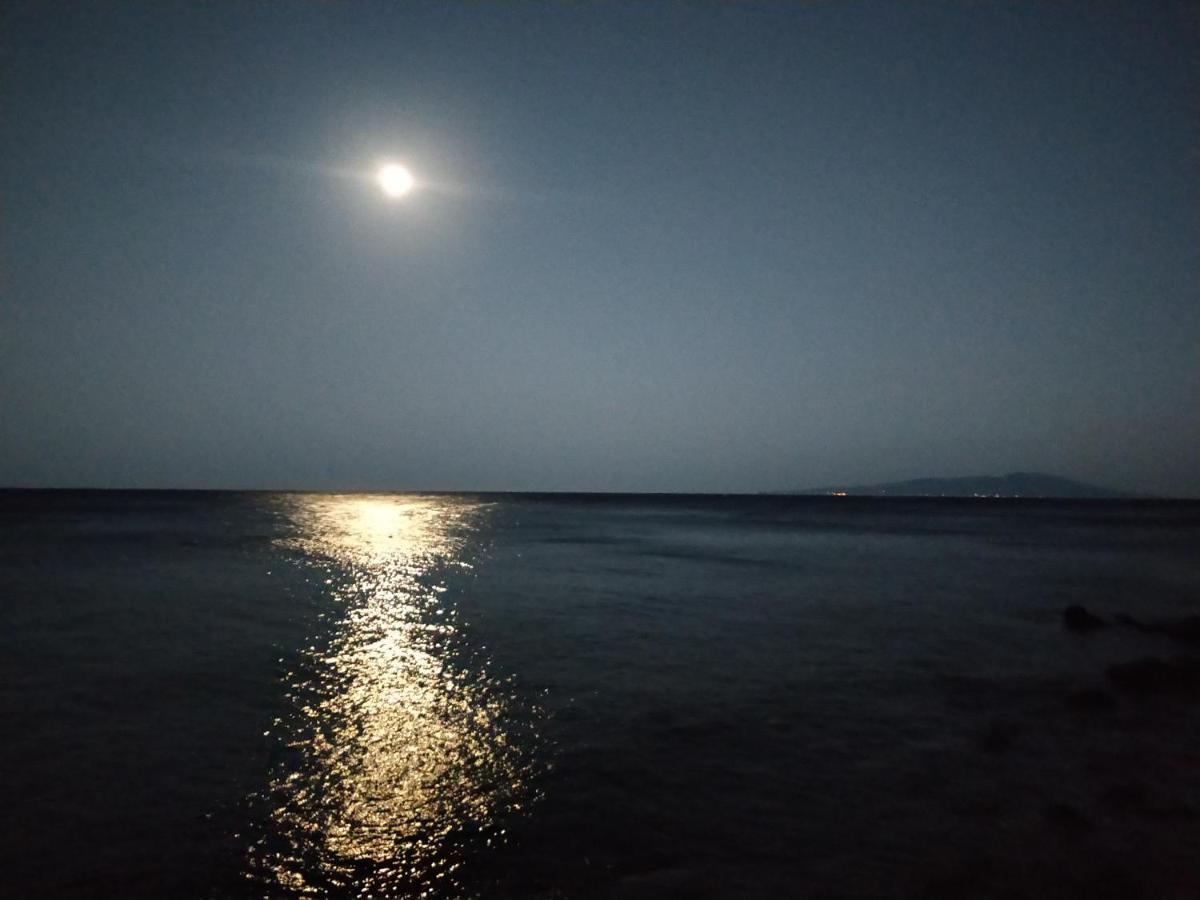 Izu Shirada Villa 伊豆白田家 Higashiizu Exteriér fotografie